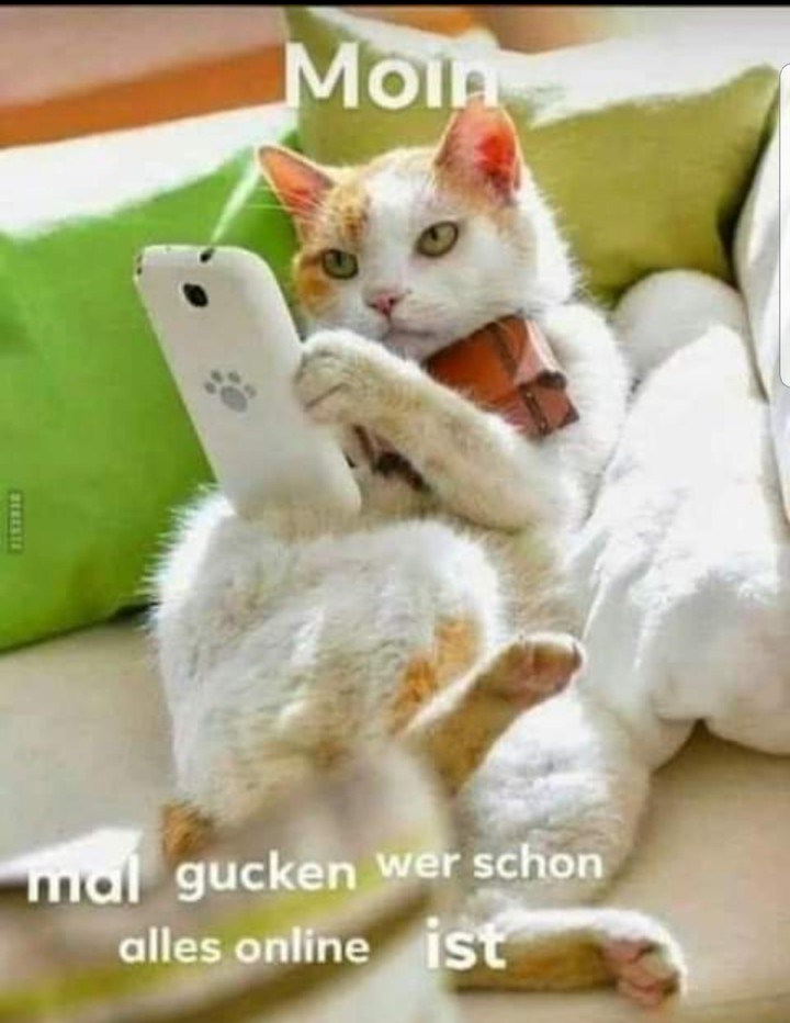 Guten Morgen  ;)