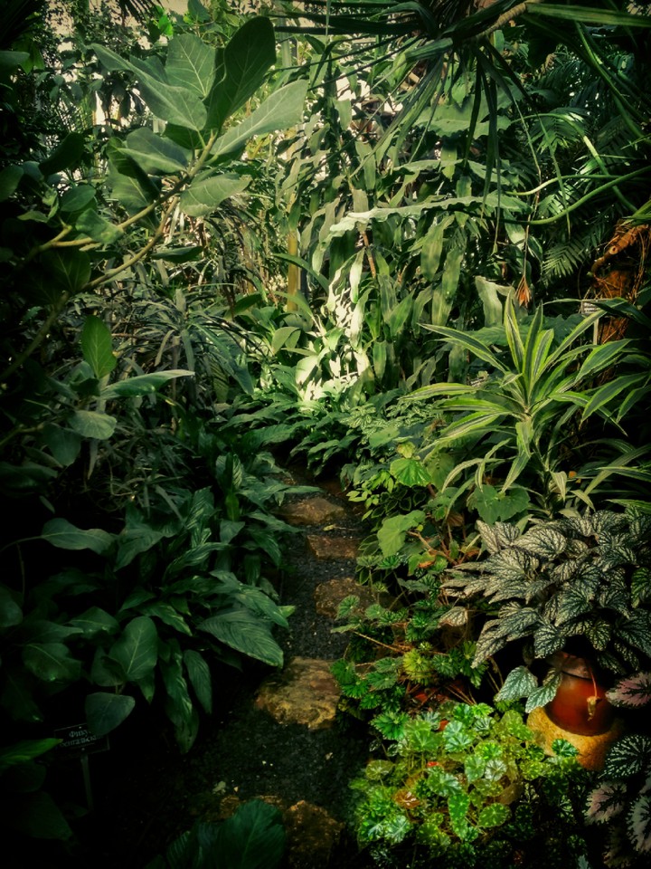 green way