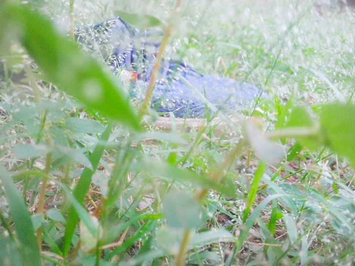 #nature lover@!!!