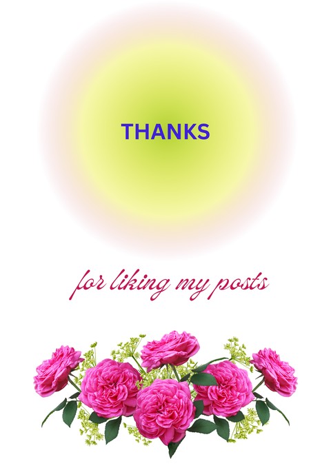 тапети plant, flower