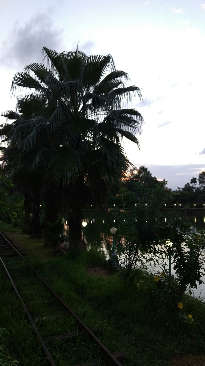 nature