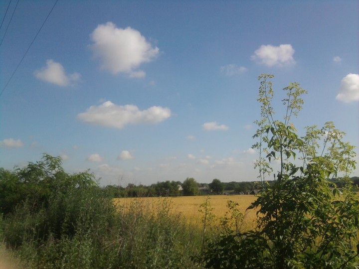 Село Партизаны Украина
