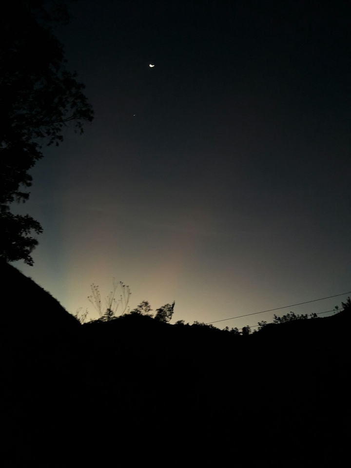 night