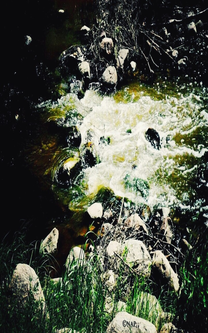 Water Flows