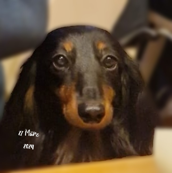 .