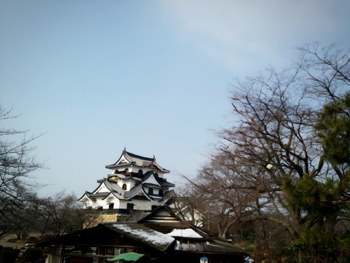 城
