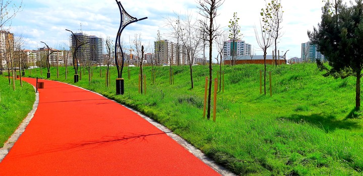 Road and green