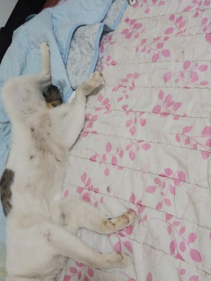 ㅇ
