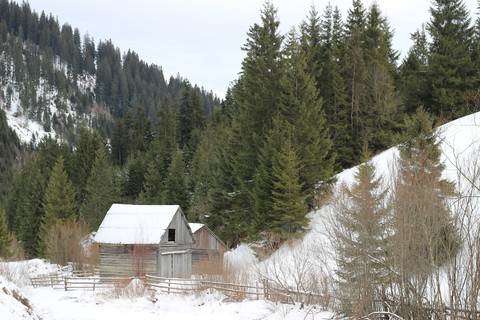 solitude