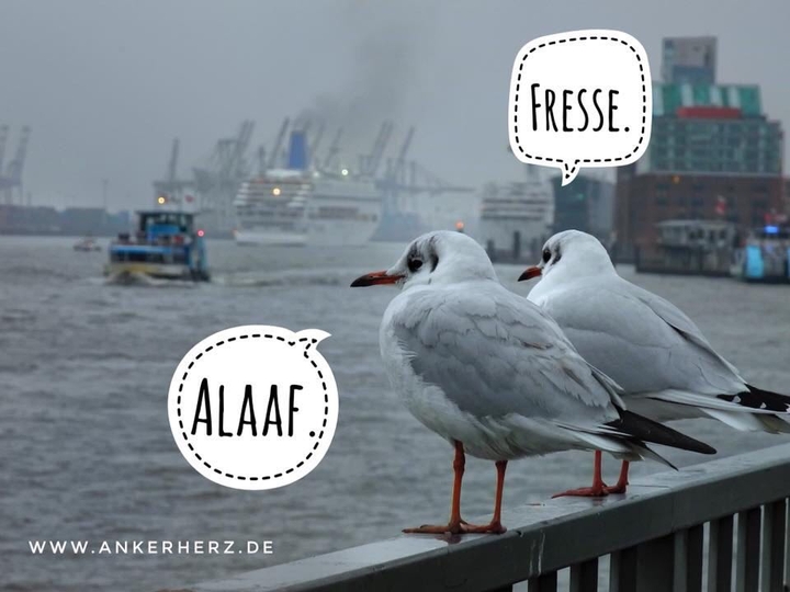 Karneval oder wad?