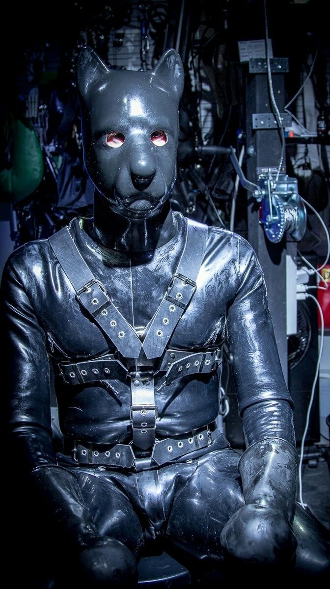 Rubber Petplayer