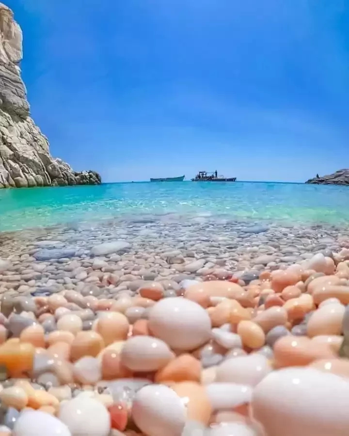 ALLAH  wonderful creation