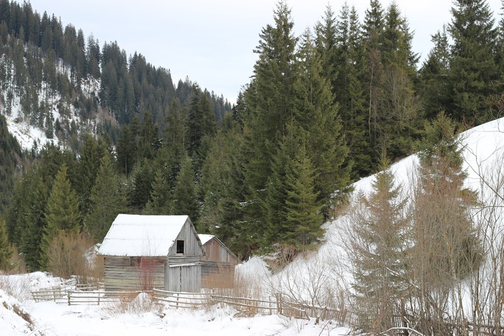 solitude