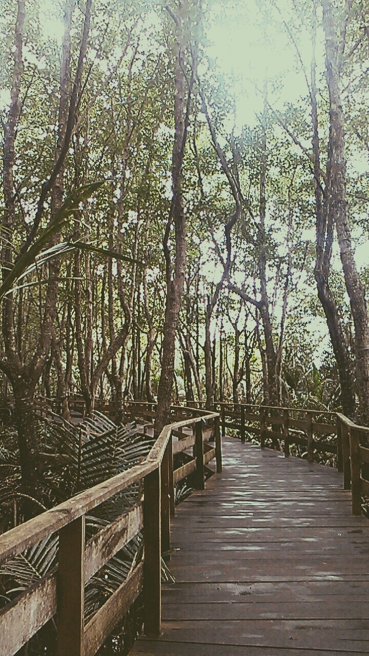 Adventure