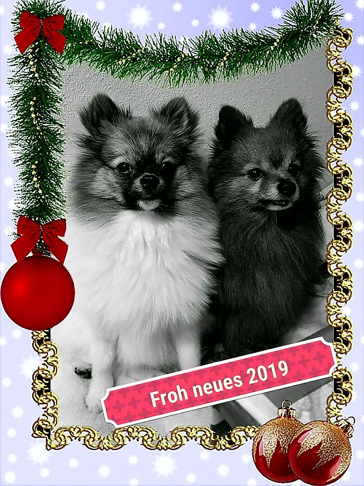 Guten Rutsch ins Jahr 2019