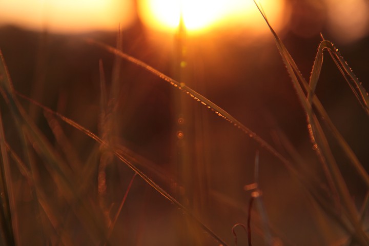 sun