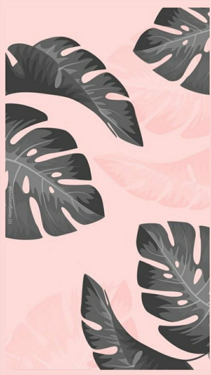 palm???