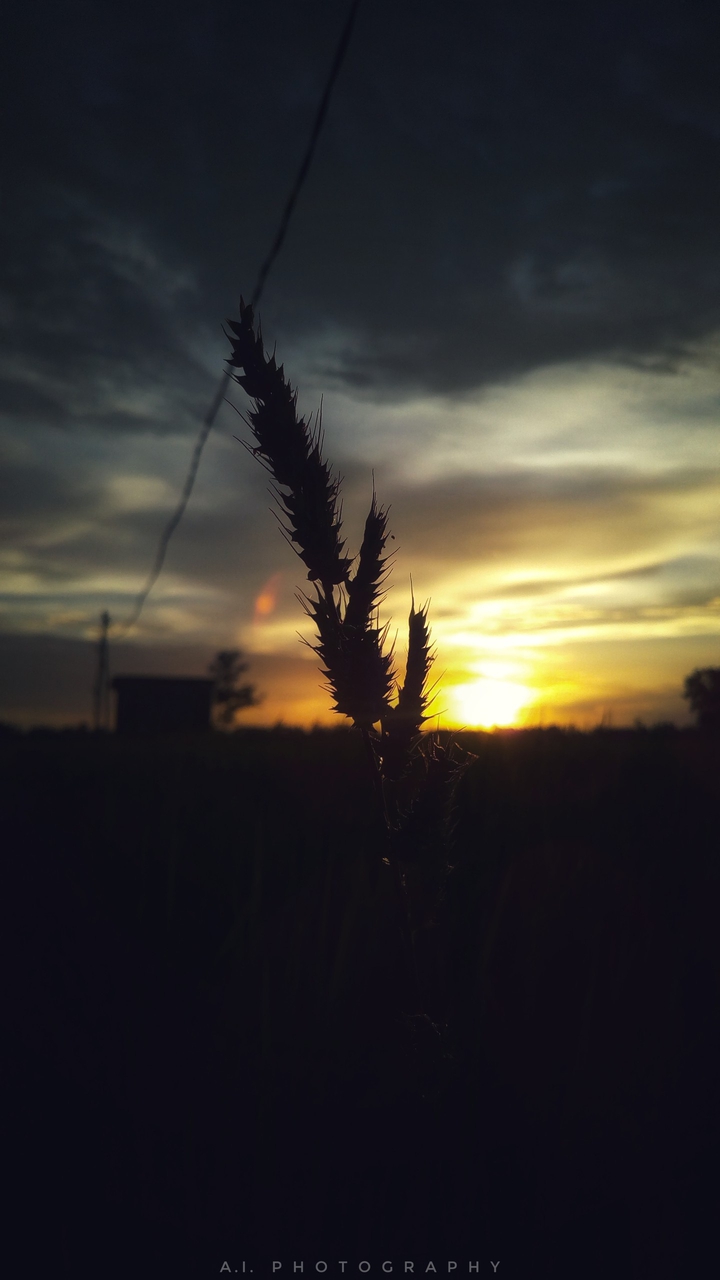 before evening
