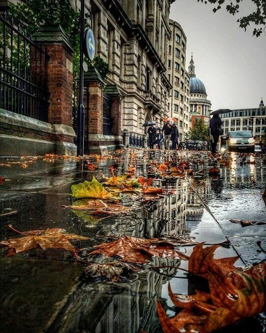 autumn love