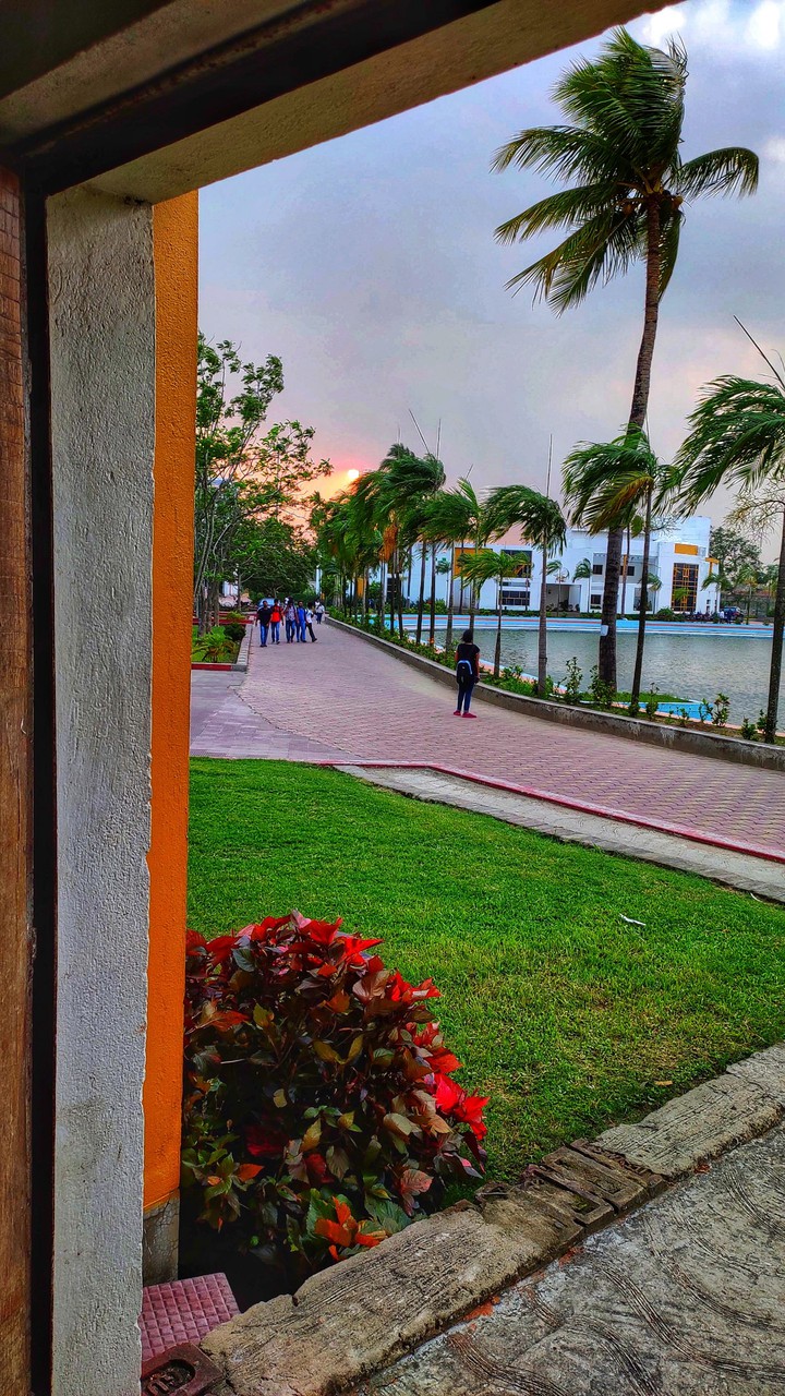 Beautiful College