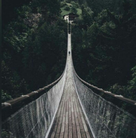 biome, Bridge壁紙