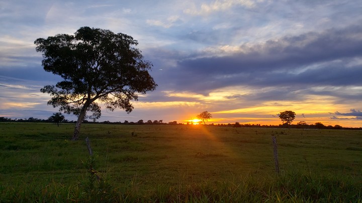 por do Sol Cocalinho MT