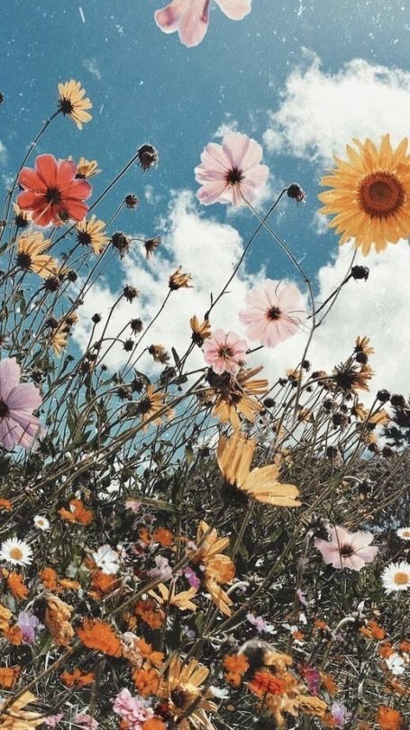 flowers