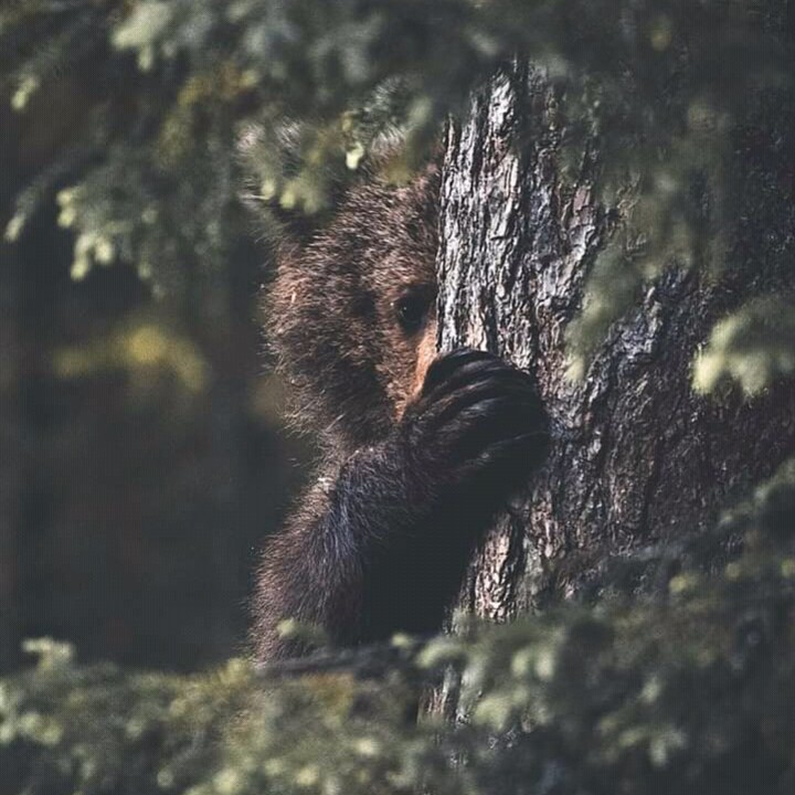 ours.