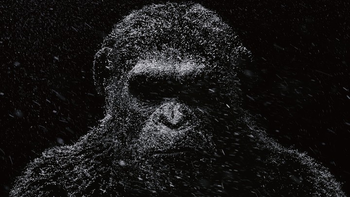 kong