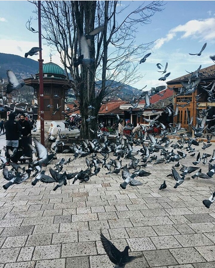 #love #photooftheday