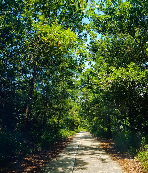 path of peaceful