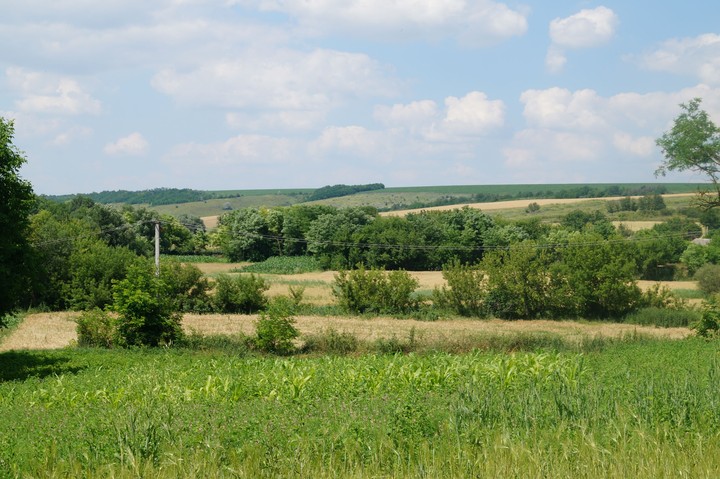 Pure beauty