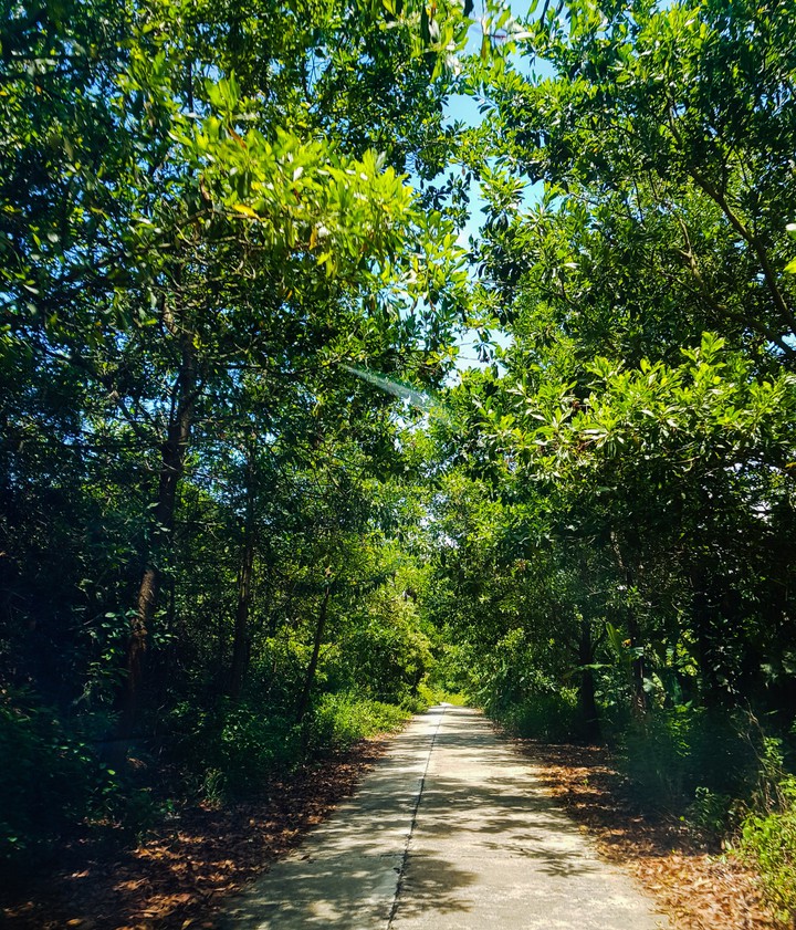 path of peaceful