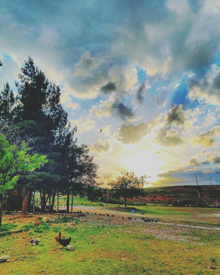 My home