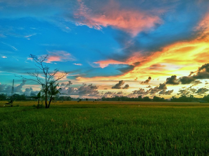 wonderful peace
