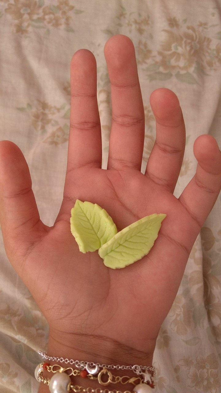 a natureza