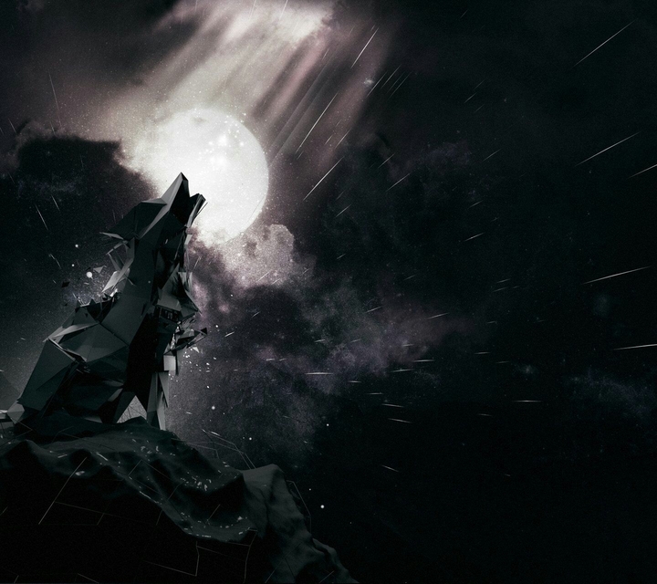 temnye wolf wallpaper