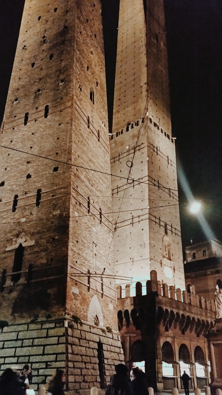 Torre degli Asinelli 2-part. Bologna. Italia ♡