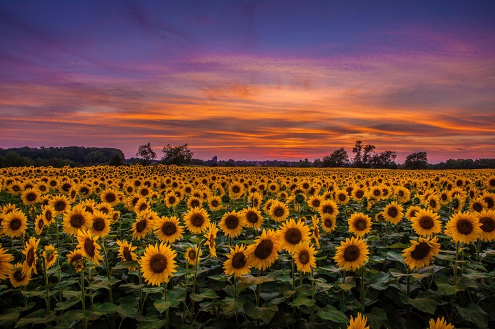 Good evening