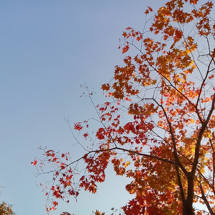 가을바람