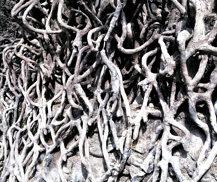 Sculptures
