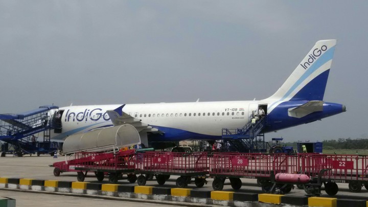 Indigo