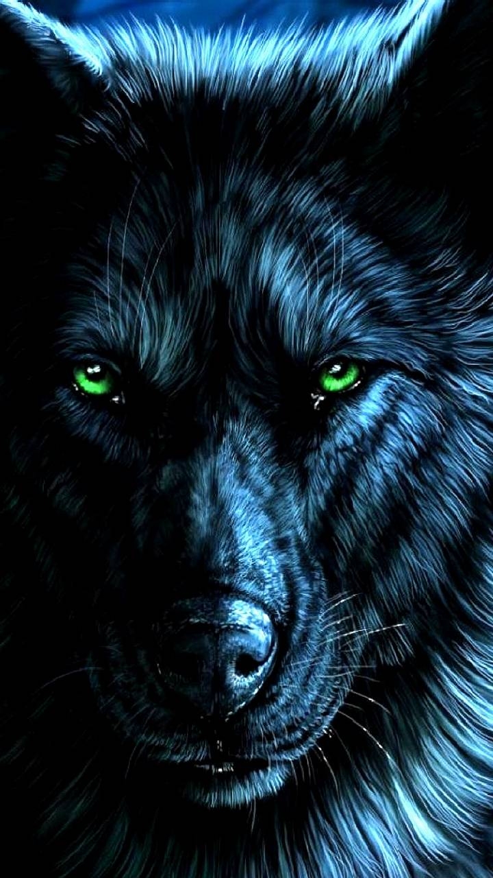 wolf