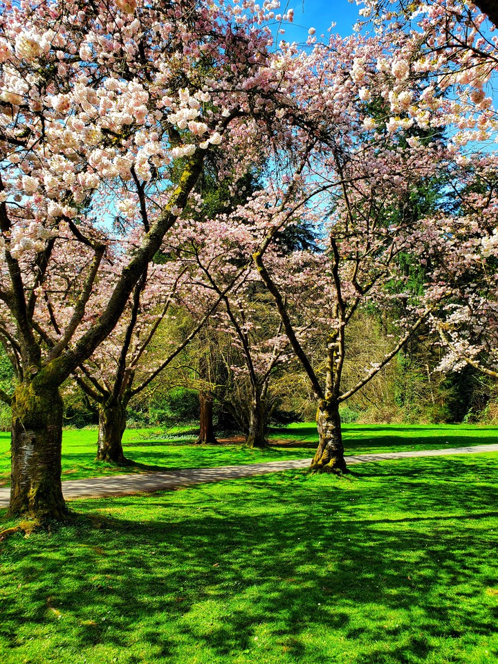 park