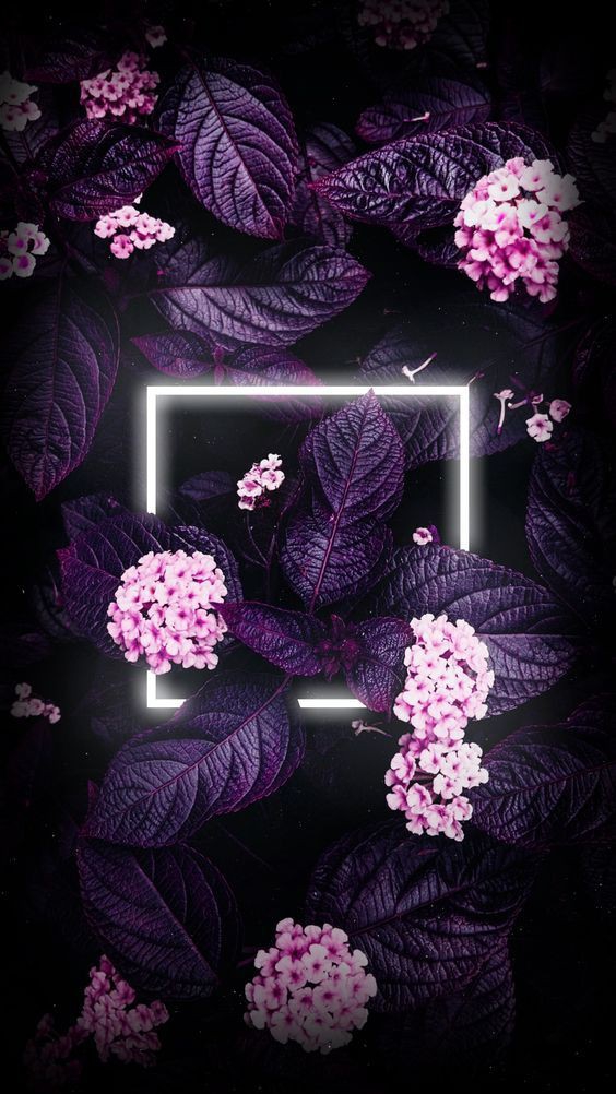 Full display wallpaper