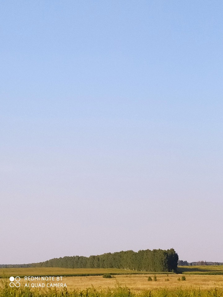 поле