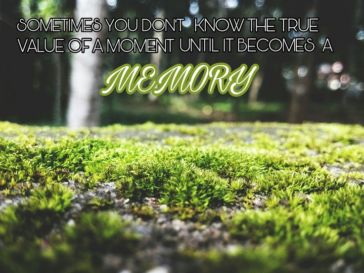 value of a moment