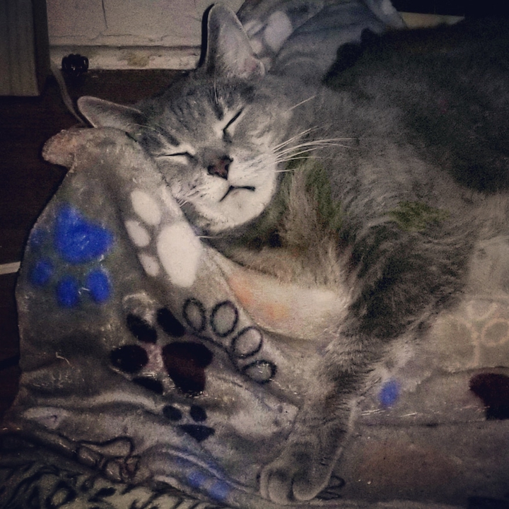 deep sleep