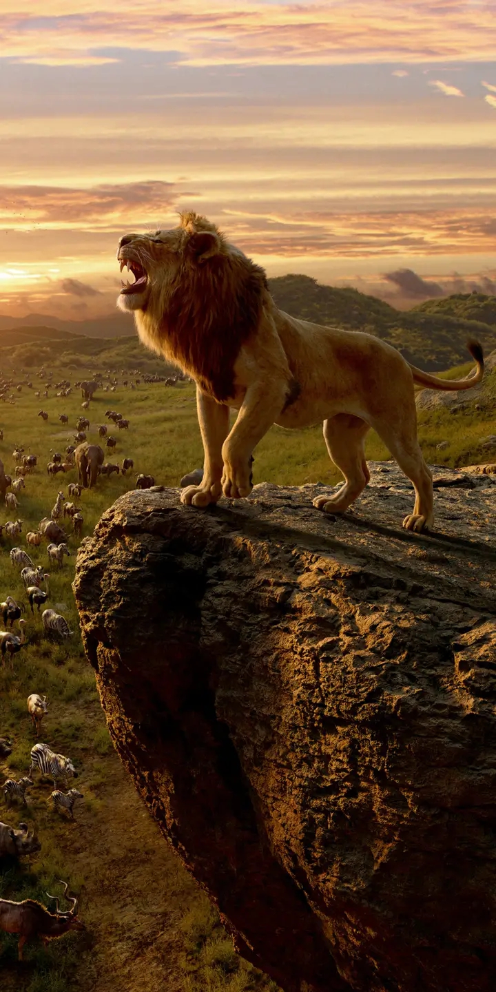 Lion