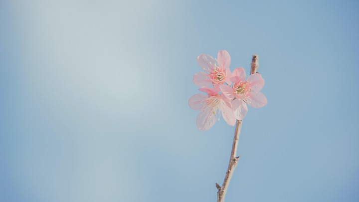 Hope